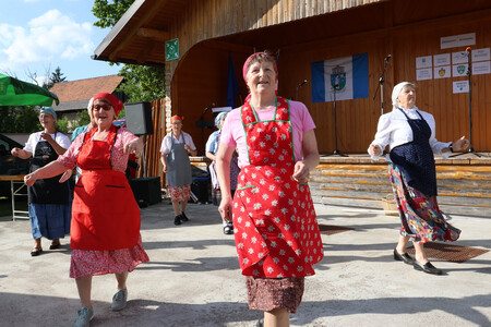 Kulturna prireditev Na lepi Menišiji 41 Foto Ljubo Vukelič